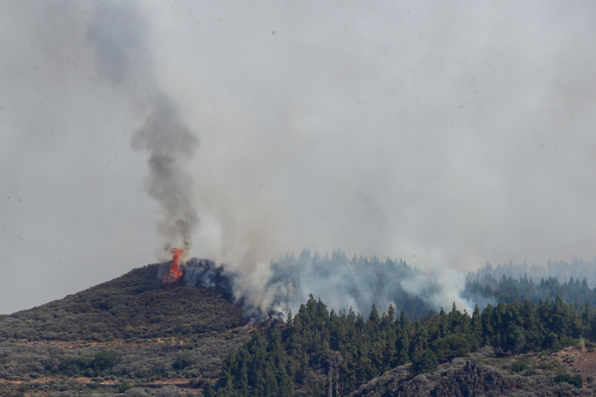 Imagen del incendio de la cumbre de Gran Canaria tomada durante la tarde del martes. EFE/ Elvira Urquijo A.