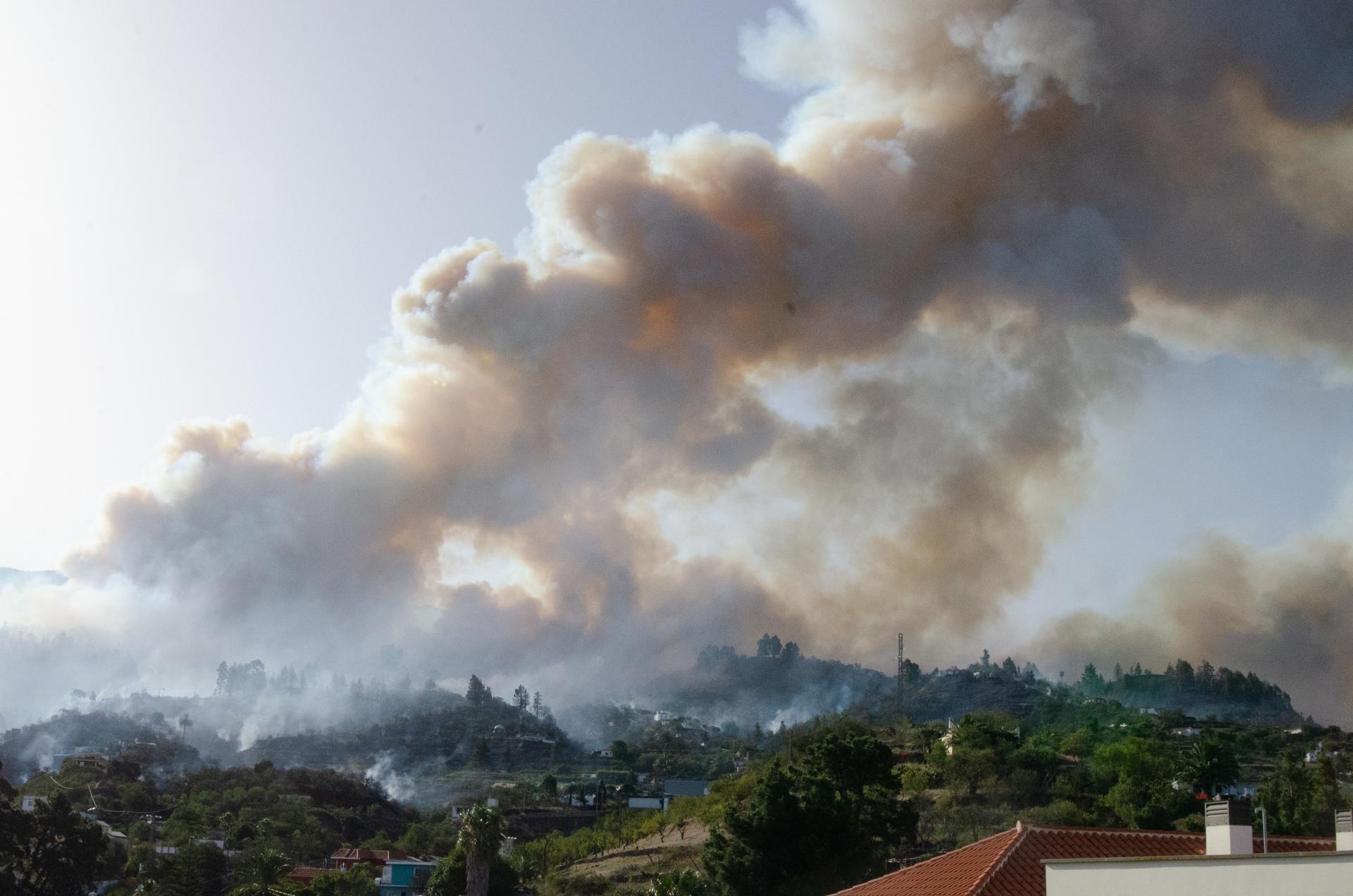 Incendio forestal declarado en Puntagorda (La Palma). EFE/Miguel Calero