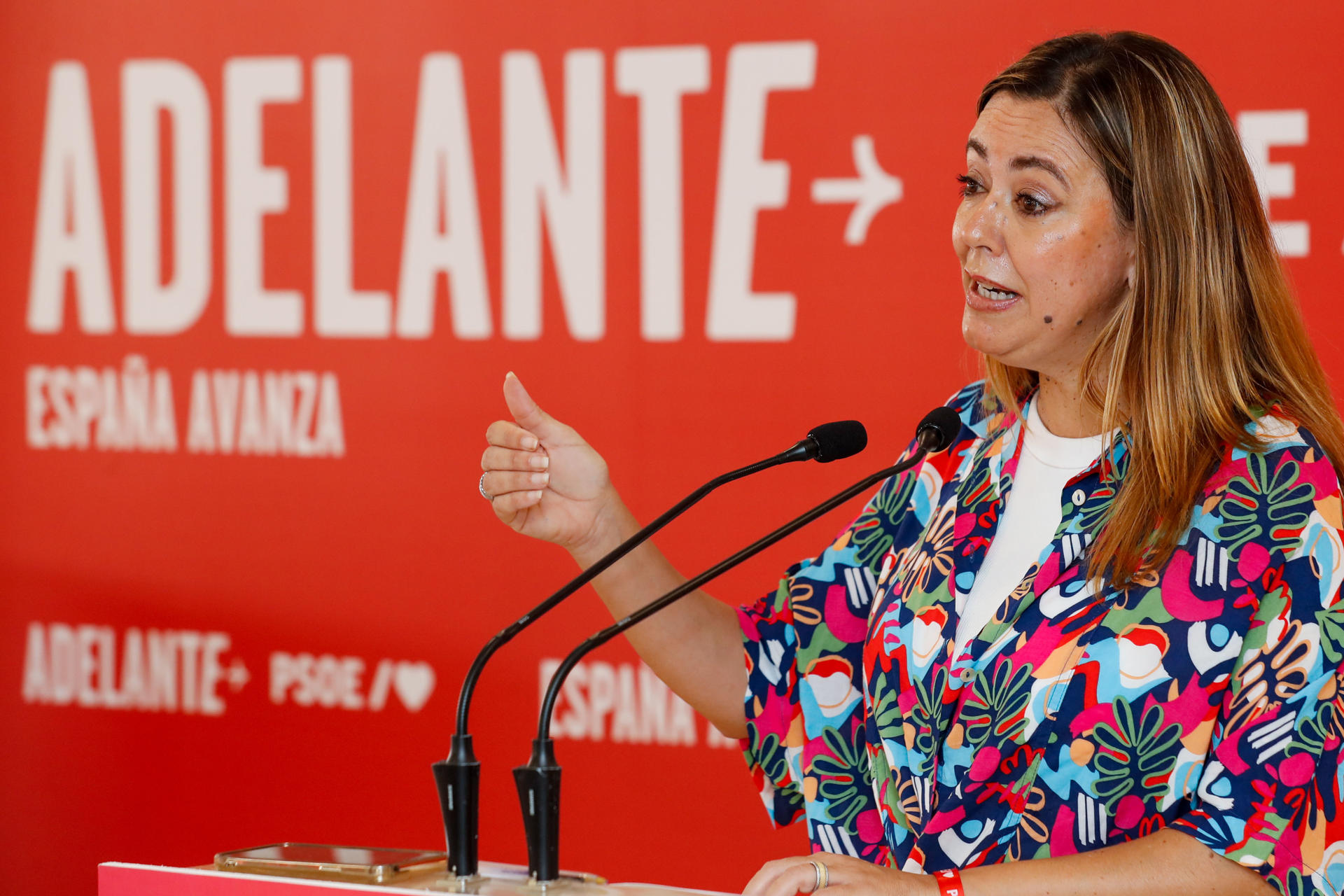 La candidata del PSOE al Congreso por Las Palmas, Dolores Corujo, presentó este jueves en rueda de prensa su programa electoral. EFE/ Elvira Urquijo A.