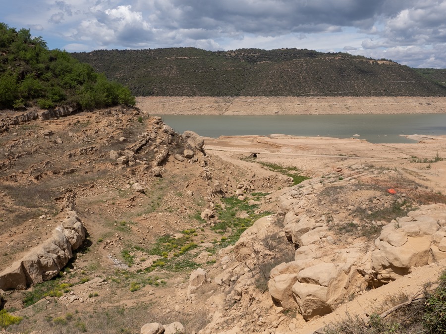 Andalucía administraciones sequía