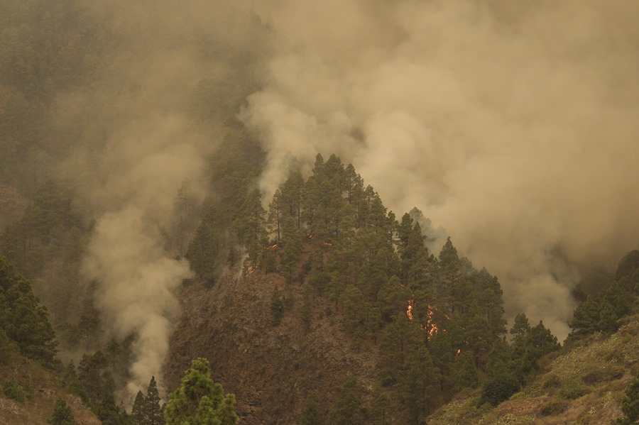 Falsos mitos sobre las causas de los incendios forestales: ni los bomberos, ni la especulación