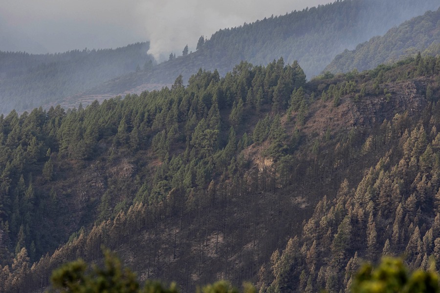 Noche tranquila en la lucha contra el incendio de Tenerife, que ha quemado ya casi 15.000 hectáreas