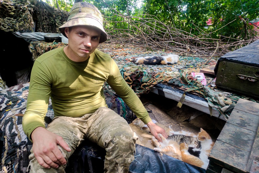  Sasha, un joven soldado voluntario ucraniano, acaricia a los gatos en una de las posiciones ucranianas junto a la frontera con Rusia