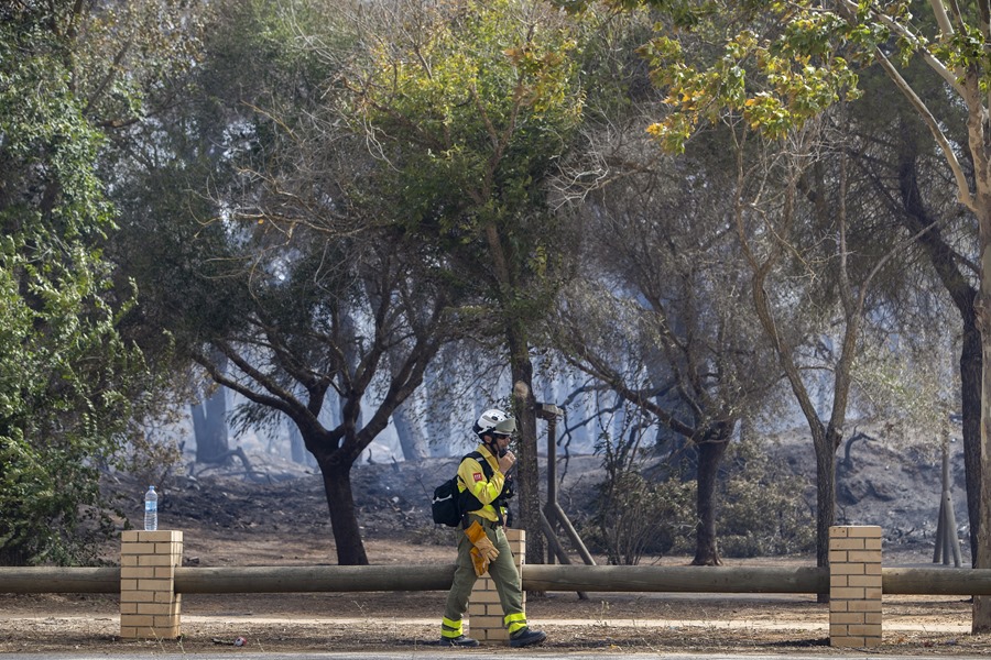 El incendio declarado ayer domingo en el paraje natural de Las Canteras, en Puerto Real (Cádiz), sigue estabilizado y sin peligrosidad para las viviendas.