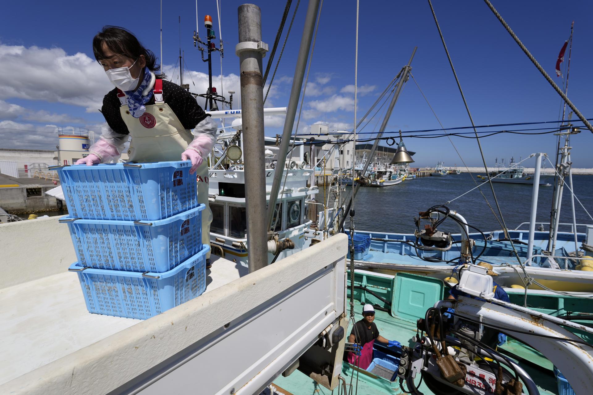 No radioactivity found in Fukushima fish Japan Fisheries Agency EFE