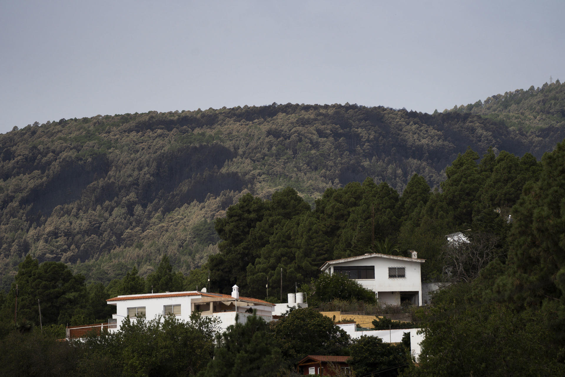 Imagen de archivo de la zona de monte del municipio de El Rosario quemada por el incendio forestal en la isla de Tenerife. EFE/ Ramón De La Rocha