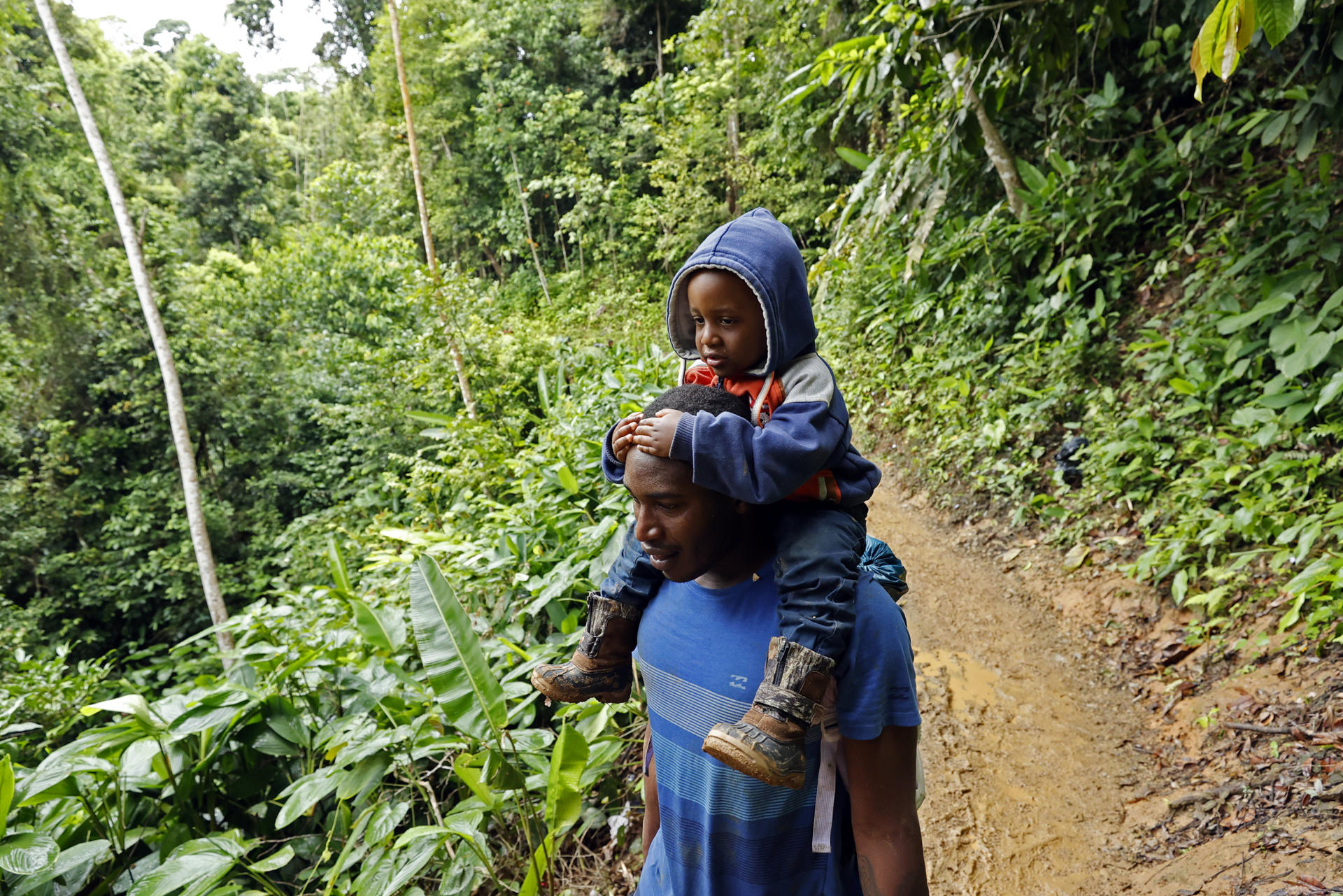 A father and his son walk through the jungle on their way to Panama through the Darién Gap, Colombia, on October 8, 2022. EFE FILE/ Mauricio Dueñas Castañeda