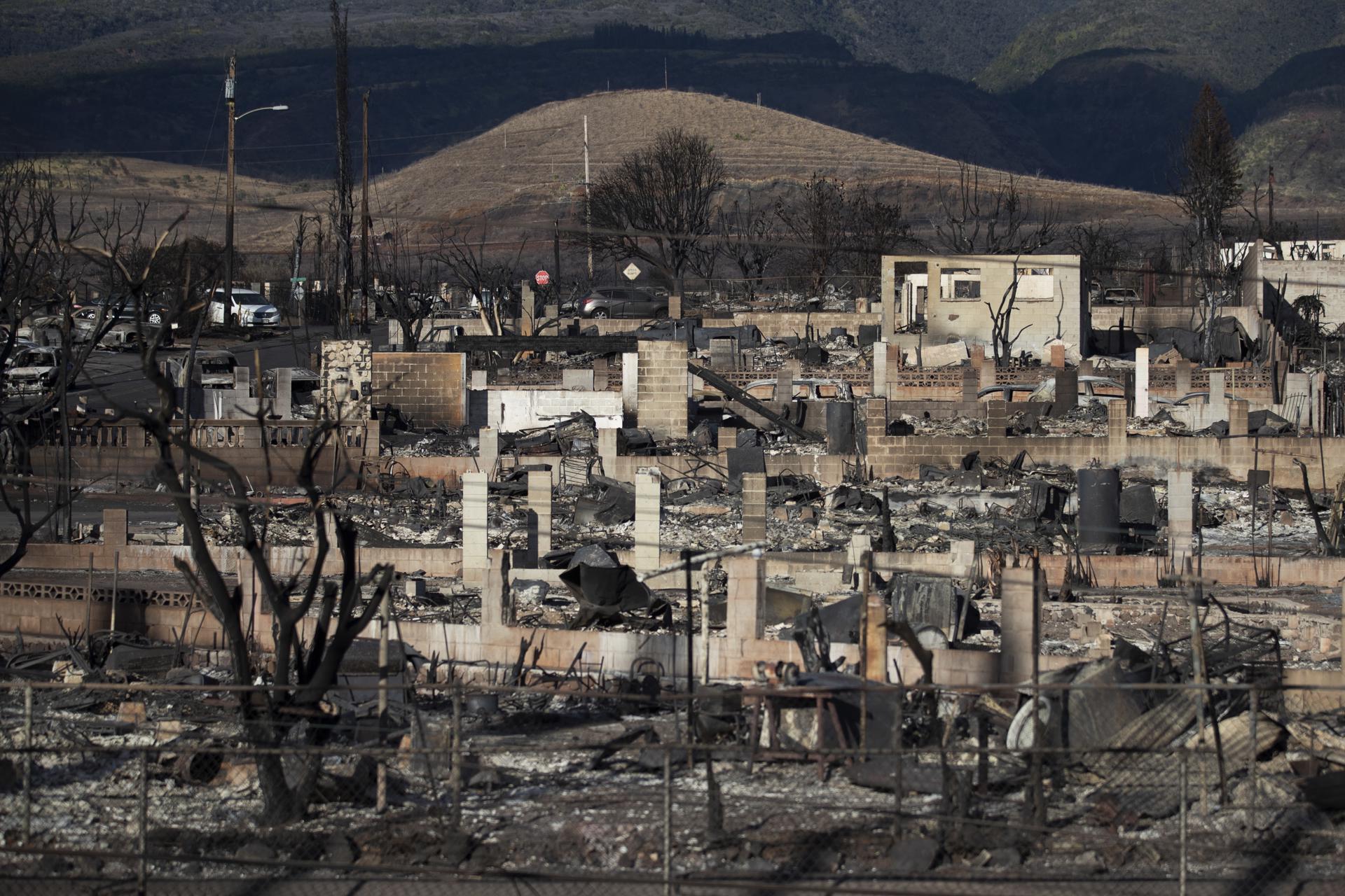 Burnt trees and the ruins of houses are what is left after the Lahaina fire burnt through the city, in Lahaina, Hawaii, USA, 13 August 2023. EFE-EPA/ETIENNE LAURENT
