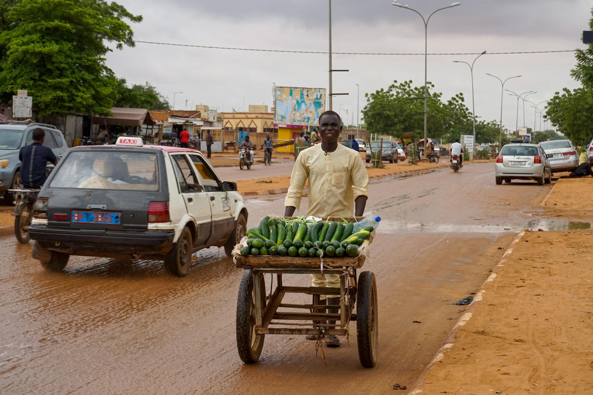 A man pushes a cart loaded with vegetables for sale in Niamey, Niger, 07 August 2023. EFE-EPA/ISSIFOU DJIBO
