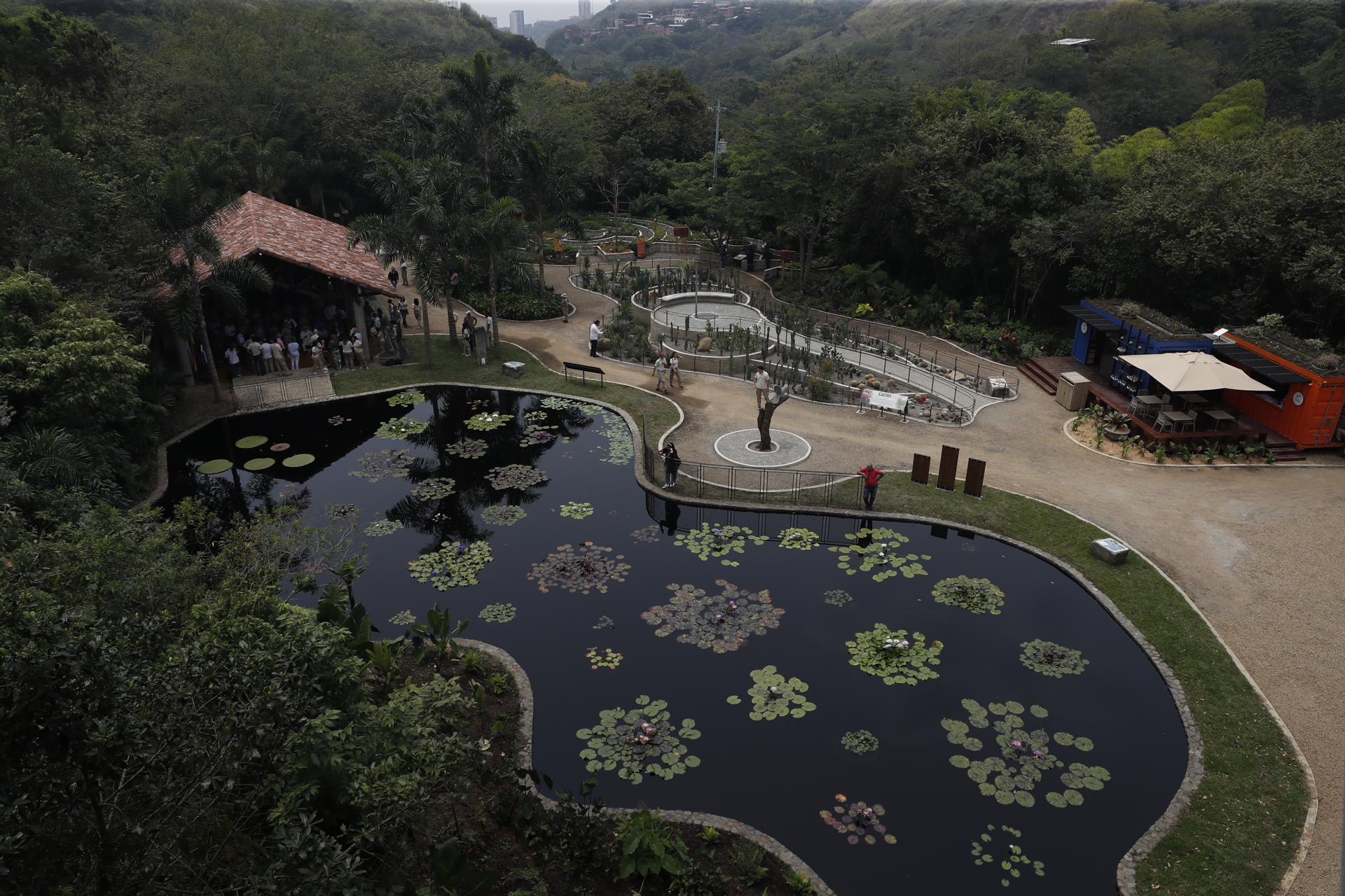 Fotografía del Jardín Botánico de Cali, hoy, en Cali (Colombia). EFE/Ernesto Guzmán