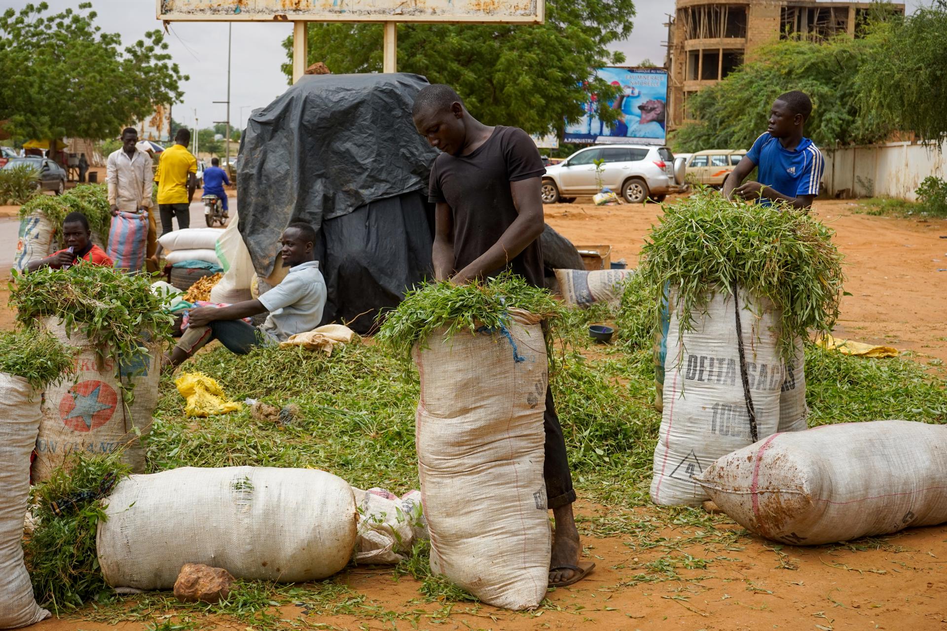 People sell animal fodder on the side of a street in Niamey, Niger, 07 August 2023. EFE-EPA/ISSIFOU DJIBO