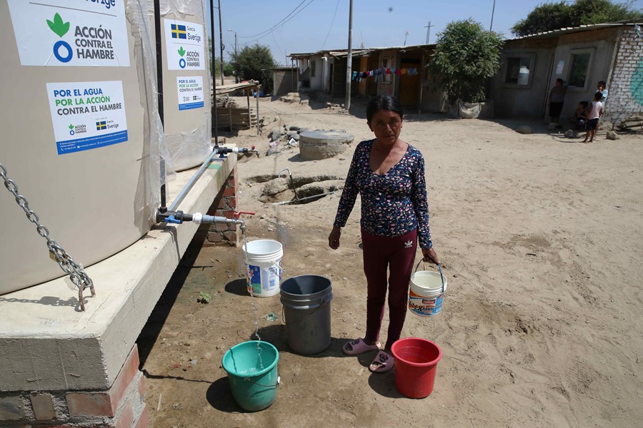 Fao Latinoamérica Es La única Región Que Ha Progresado En La Lucha Contra El Hambre Efe