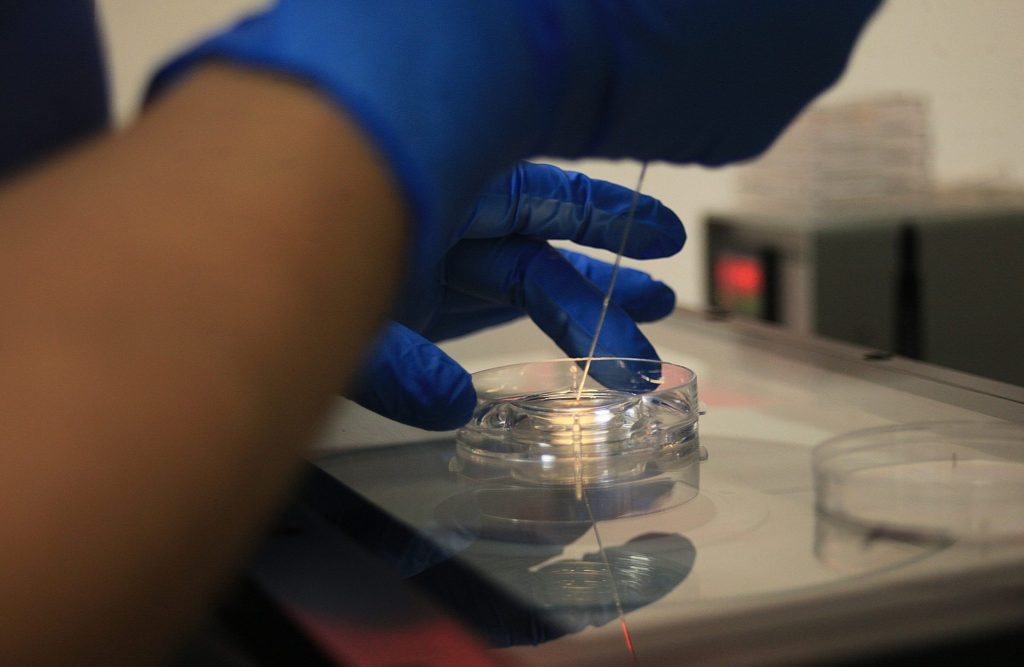 La embrióloga Laura García realiza una fecundación de laboratorio el 13 de septiembre de 2023, en Ciudad Juárez, estado de Chihuahua (México). EFE/Luis Torres