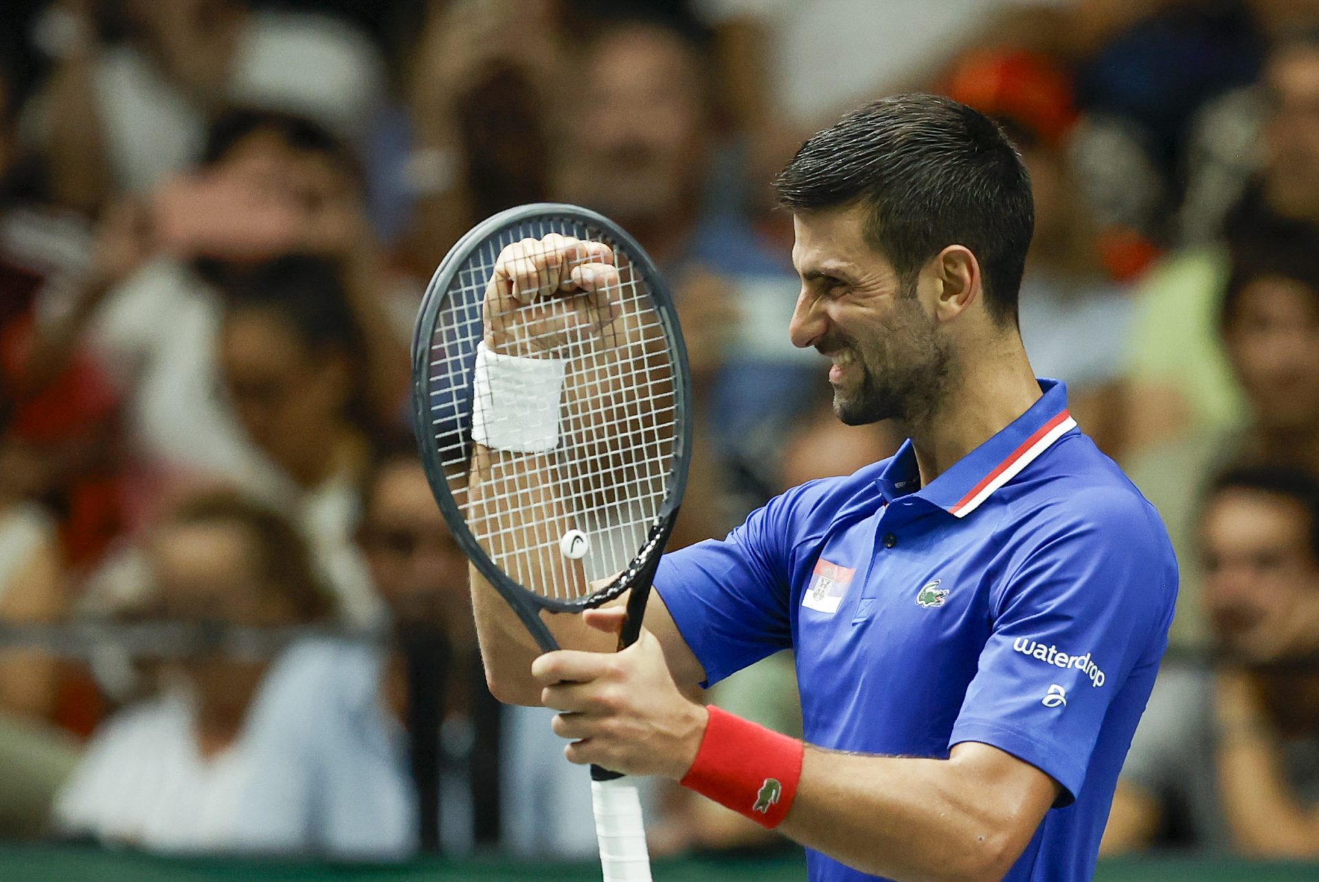 El tenista serbio Novak Djokovic celebra su victoria tras derrotar al español Alejandro Davidovich.