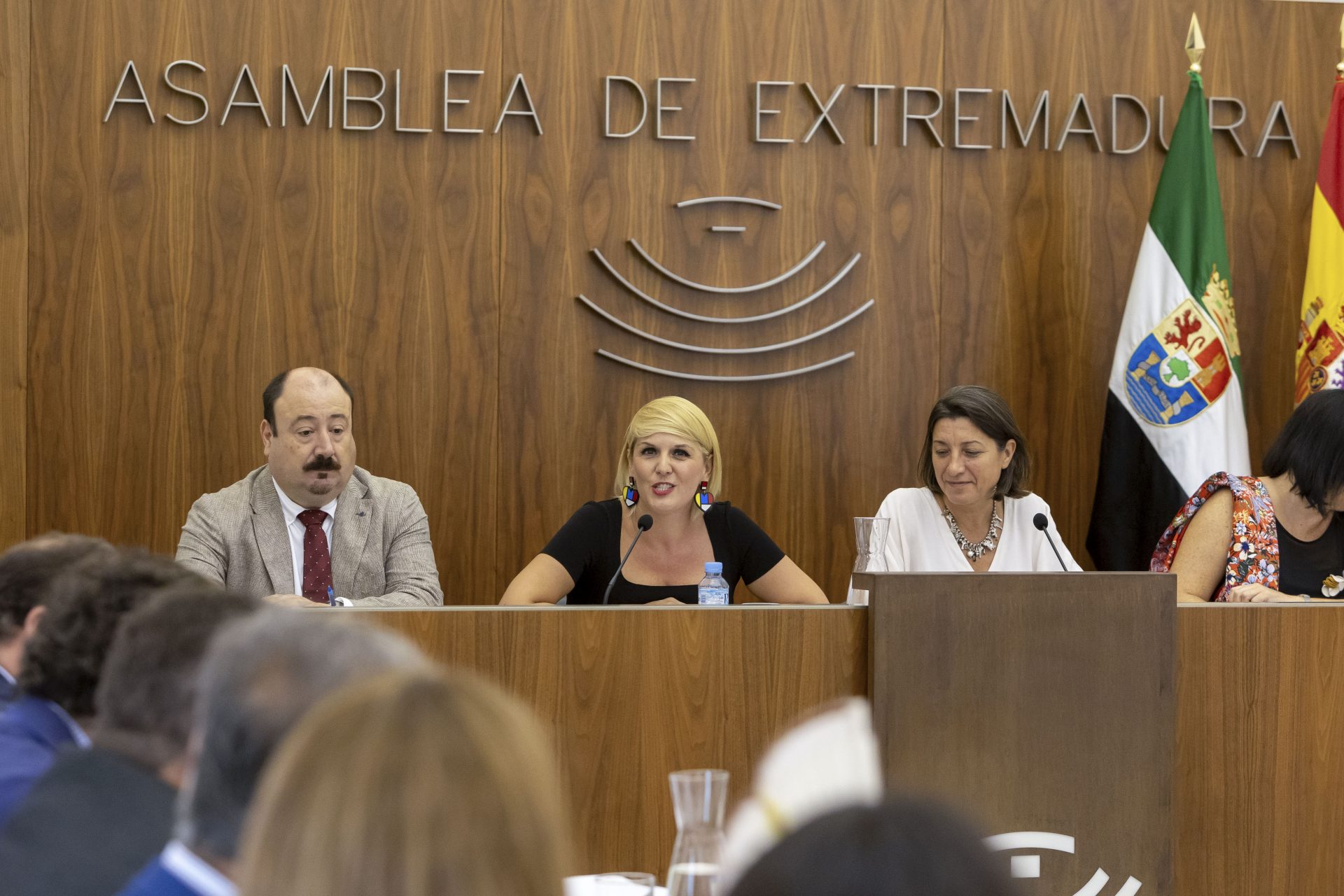 La reforma fiscal emprendidas por el Gobierno extremeño centra la atención en la Comisión de Hacienda de la Asamblea. EFE/Jero Morales