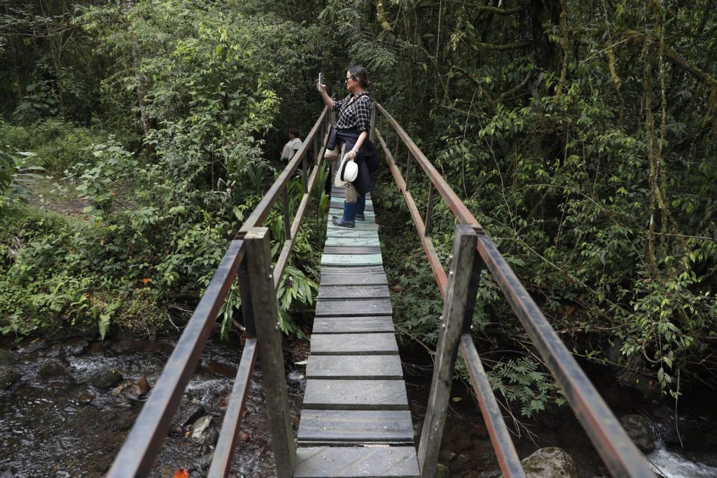 Una mujer toma fotos desde un puente en el Parque Ucumarí, el 25 de agosto 2023, en Santa Rosa (Colombia). EFE/Ernesto Guzmán