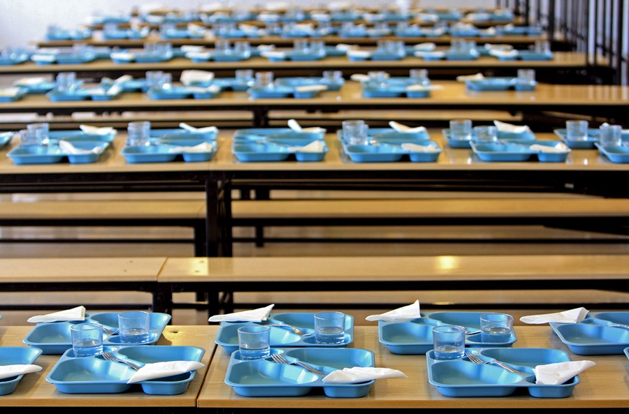 La Rioja reforzará los controles de la comida en los colegios tras aparecer larvas en ocho centros