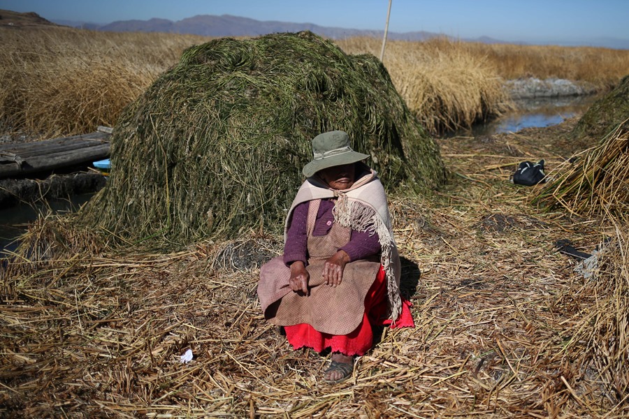 Una mujer se sienta cerca de plantas extraídas del lago Titicaca