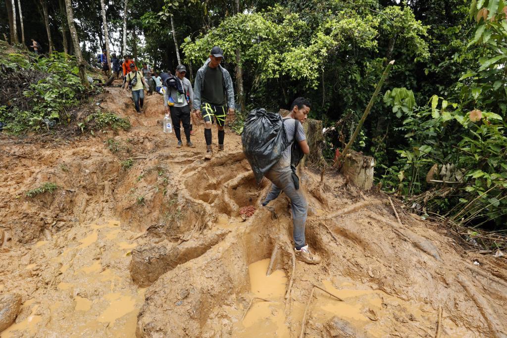 Colombia necesita medidas de fondo con la migración no “paños de agua tibia”, dice la Defensoría
