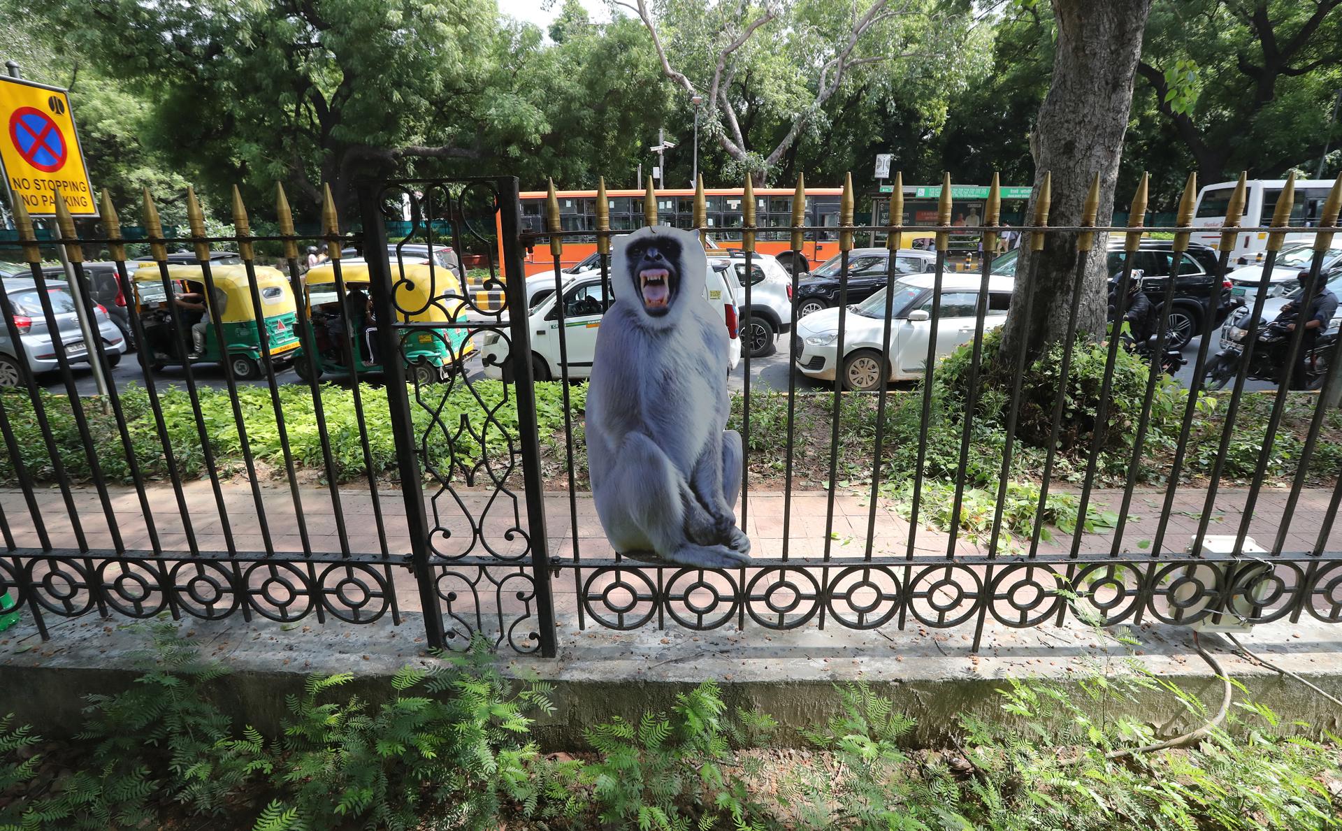 A cut-out of a langur is tied by the New Delhi Municipal Council (NDMC) to a fence alongside a road to scare away monkeys near Sardarpatel Marg ahead of G20 Summit in Delhi, India, 31 August 2023. EFE-EPA/HARISH TYAGI

