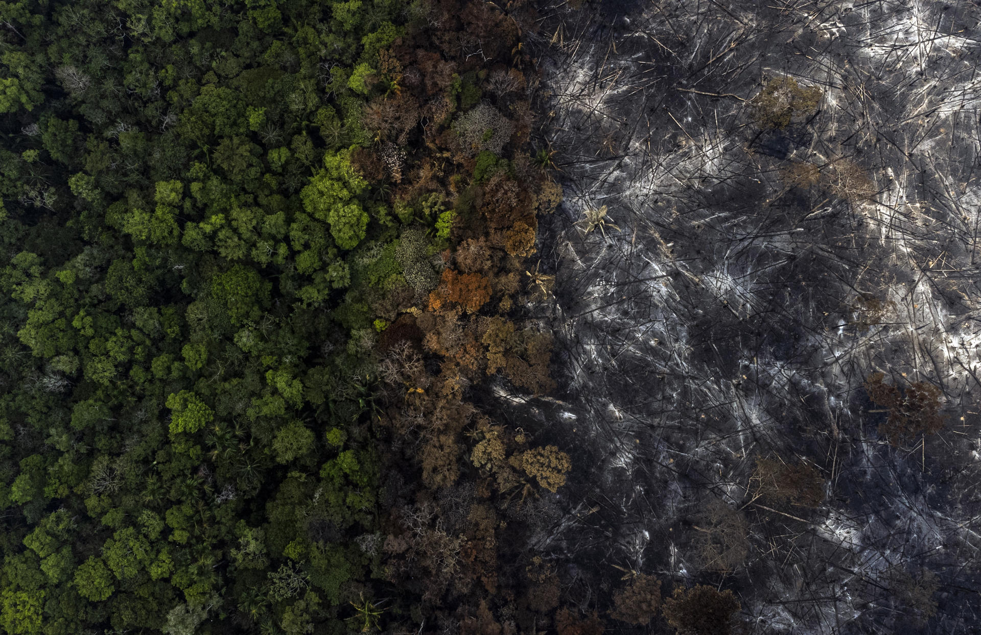 Fotografía aérea muestra hoy la destrucción causada por uno de los incendios en la selva amazónica, en el municipio de Manaquiri cerca a Manaos, estado de Amazonas (Brasil). EFE/Raphael Alves