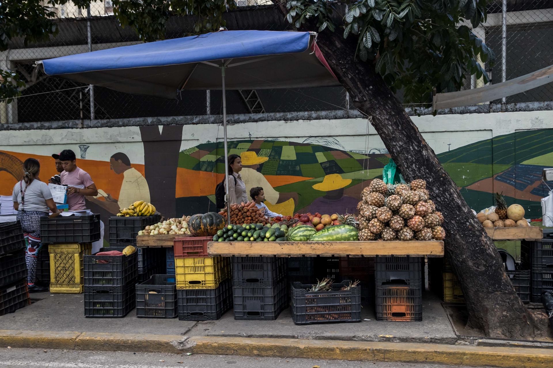 Vista de un puesto de venta informal de alimentos, el 30 de agosto de 2023 en Caracas (Venezuela). EFE/ Miguel Gutiérrez