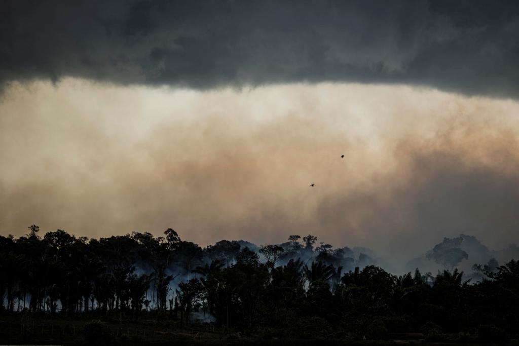 Vista de incendios en la Amazonía de Brasil, en una fotografía de archivo. EFE/Raphael Alves

