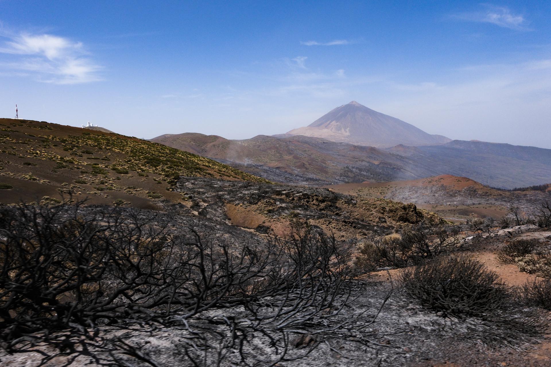 El Parque Nacional del Teide tras el paso del incendio forestal que afecta a la isla de Tenerife. EFE/Alberto Valdés