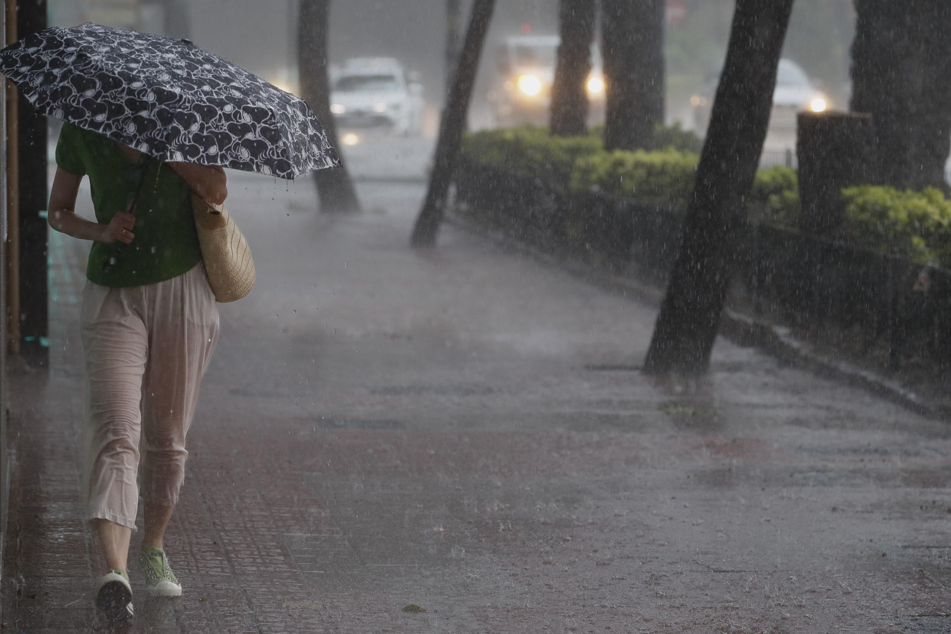 Una mujer camina por la acera bajo una intensa lluvia este sábado en Valencia. EFE/ Juan Carlos Cárdenas