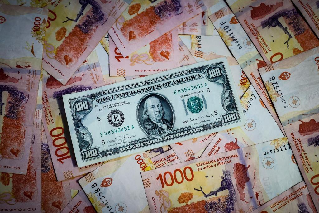 Fotografía de archivo de billetes de pesos argentinos tras un billete de 100 dolares estadounidenses. EFE/Juan Ignacio Roncoroni