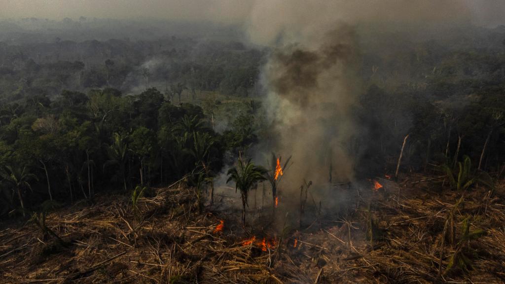 Fotografía aérea muestra hoy uno de los incendios causados en la selva de la Amazonía, en el municipio de Manaquiri cerca a Manaos, estado de Amazonas (Brasil). EFE/Raphael Alves
