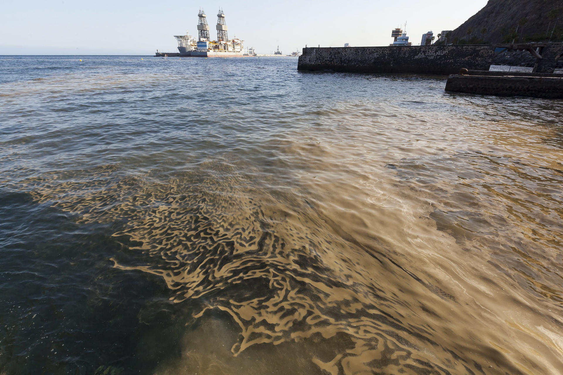 Imagen de archivo de una masa de microalgas o cianobacterias en la playa de Valleseco, en Santa Cruz de Tenerife. EFE/Ramón de la Rocha
