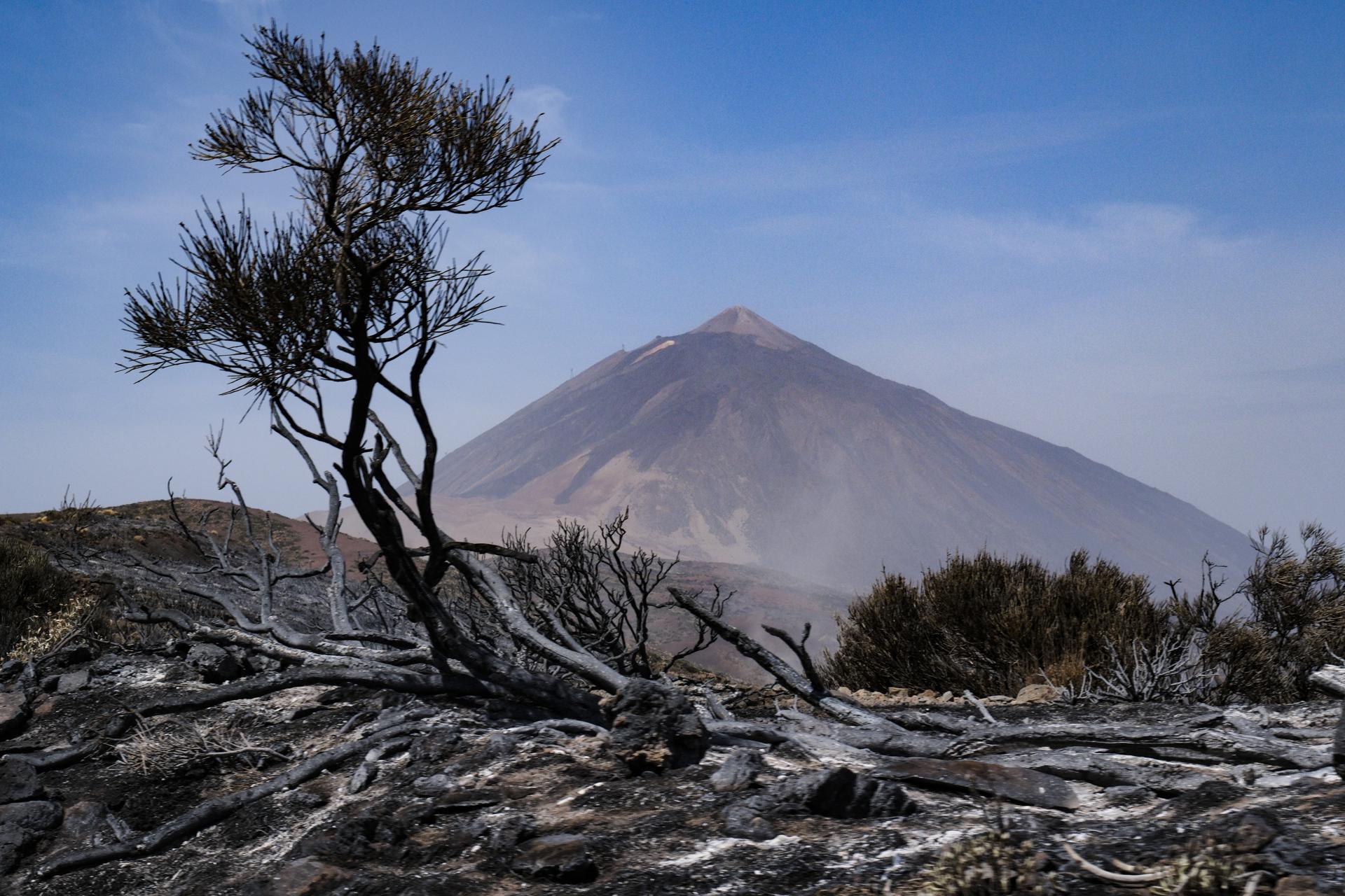 Foto tomada el 24 de agosto en el Parque Nacional del Teide, en una de las zonas quemadas por el incendio que comenzó en Arafo. EFE/Alberto Valdés