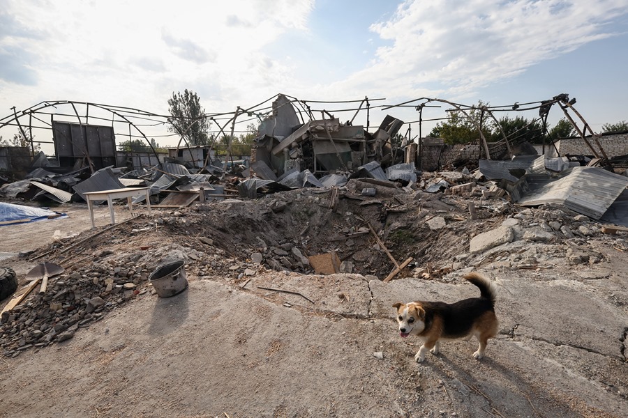 Un cráter provocado por un bombardeo en una granja cerca de la ciudad de Orikhiv, región de Zaporiyia.