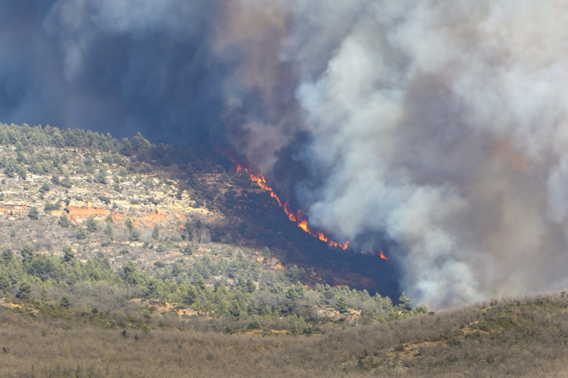 Detenido por un incendio forestal en Guadalajara