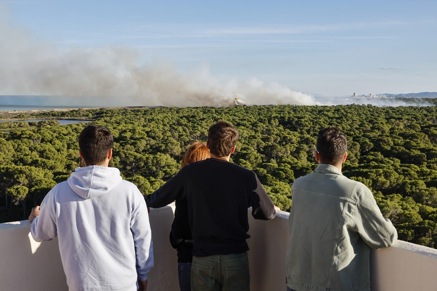  Cuatro medios aéreos, además de bomberos forestales y del Ayuntamiento de València, se han desplazado para participar en las labores de extinción del incendio en la Devesa del Saler.