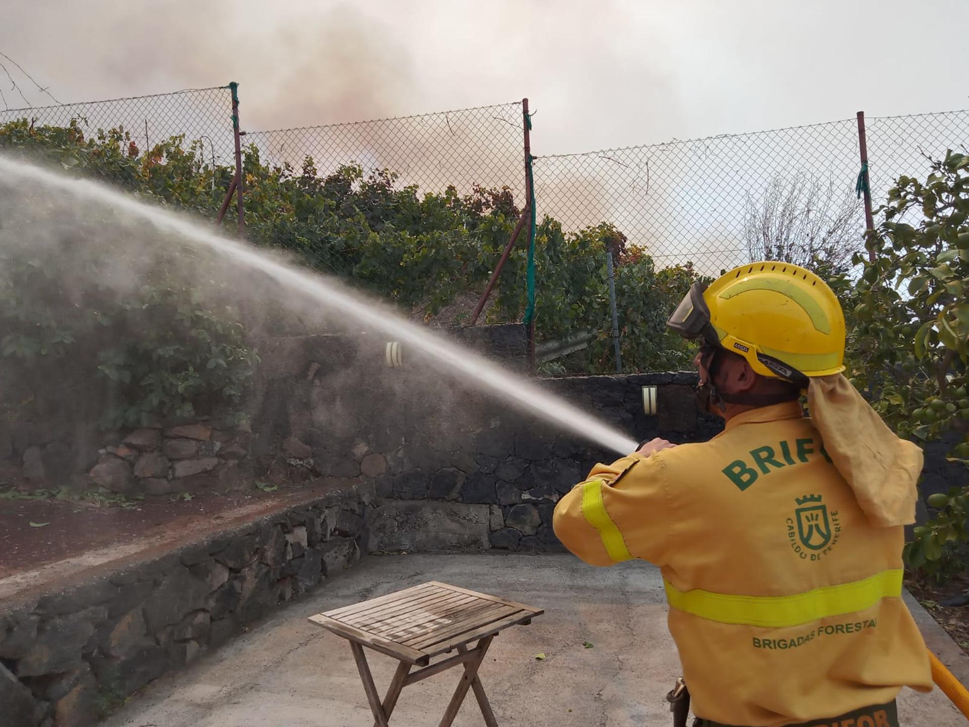 Un miembro de las Brigadas Forestales del Cabildo de Tenerife trabaja en la zona de la reactivación del incendio. EFE/Cabildo de Tenerife
