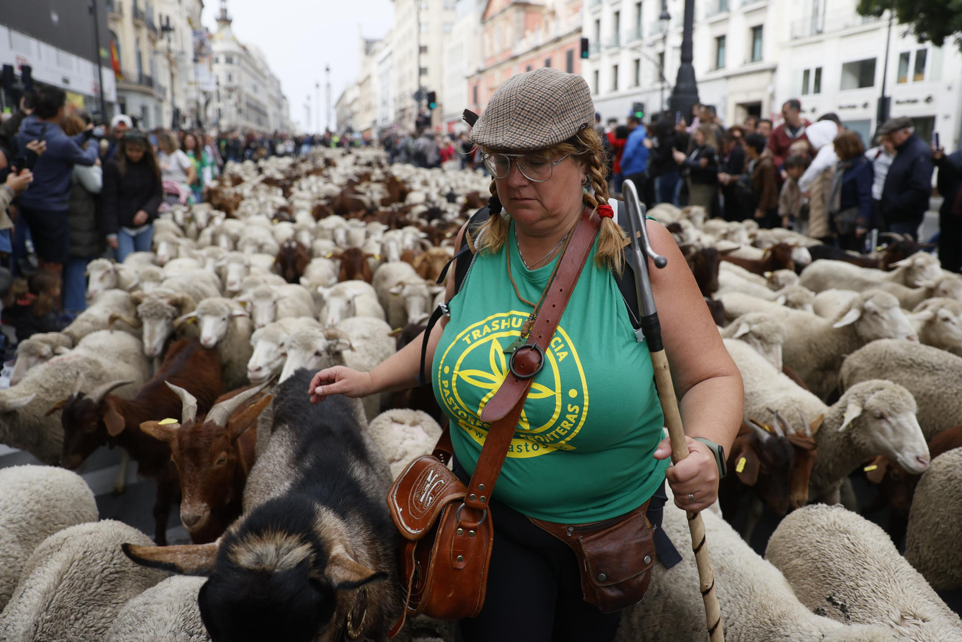 Marity González, la primera mayorala que pastorea un rebaño de mil ovejas merinas de lana fina y doscientas cabras, este domingo, en la XXX edición de la Fiesta de la Trashumancia por el centro de la capital. EFE/Mariscal