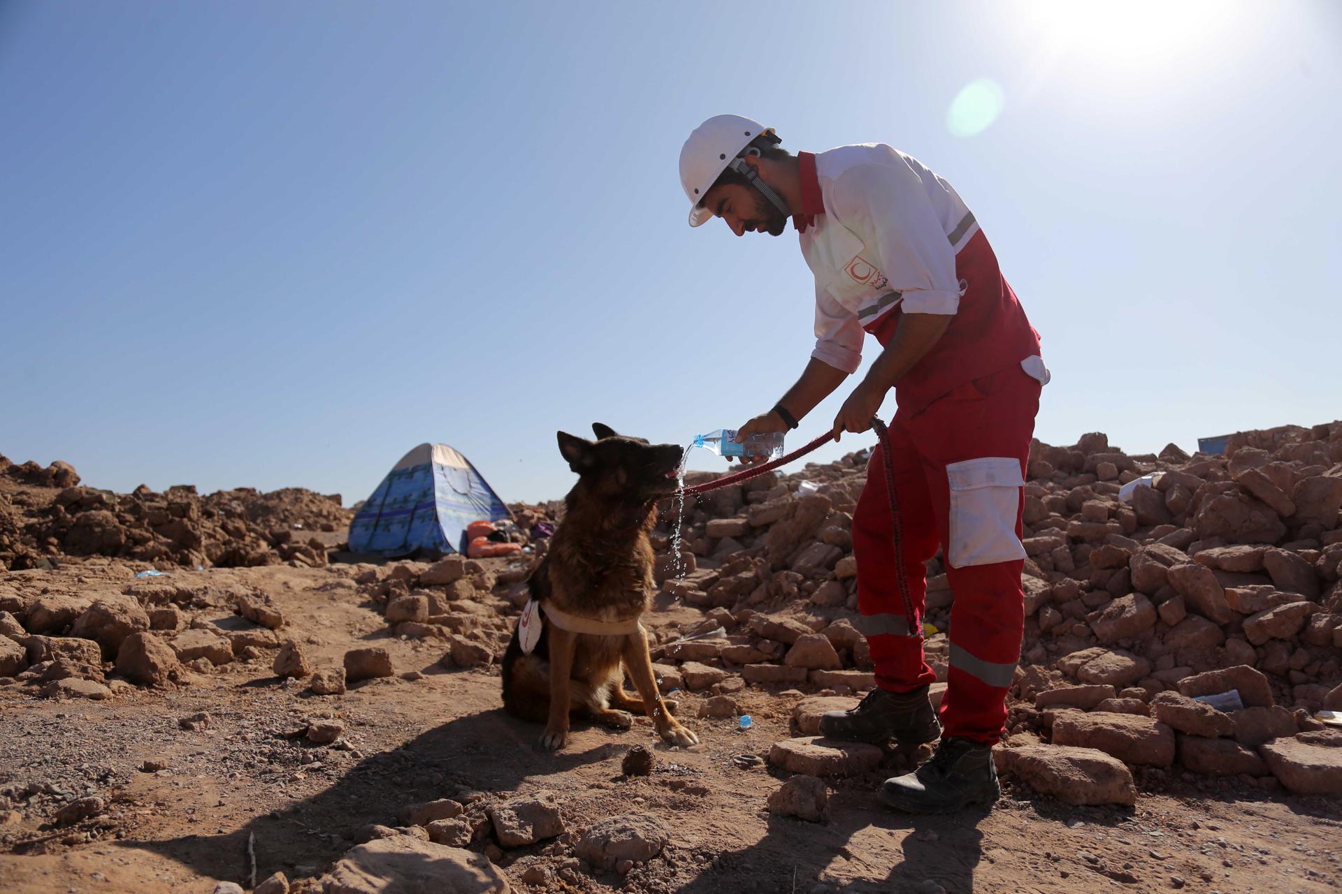 An Iranian rescue worker gives a dog water as they help people searching for the victims amid rubble of destroyed houses after an earthquake in Zinda Jan district of Herat, Afghanistan, 09 October 2023. EFE/EPA/SAMIULLAH POPAL