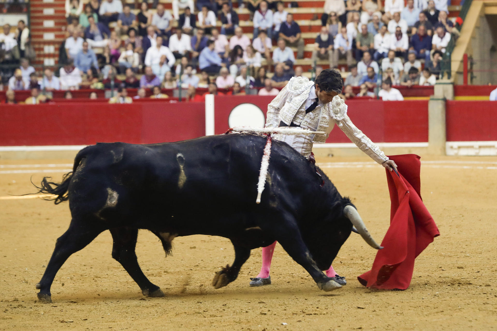 El diestro Sebastián Castella durante el festejo de la Feria del Pilar, este miércoles en la plaza de toros de Zaragoza. EFE/ Javier Cebollada
