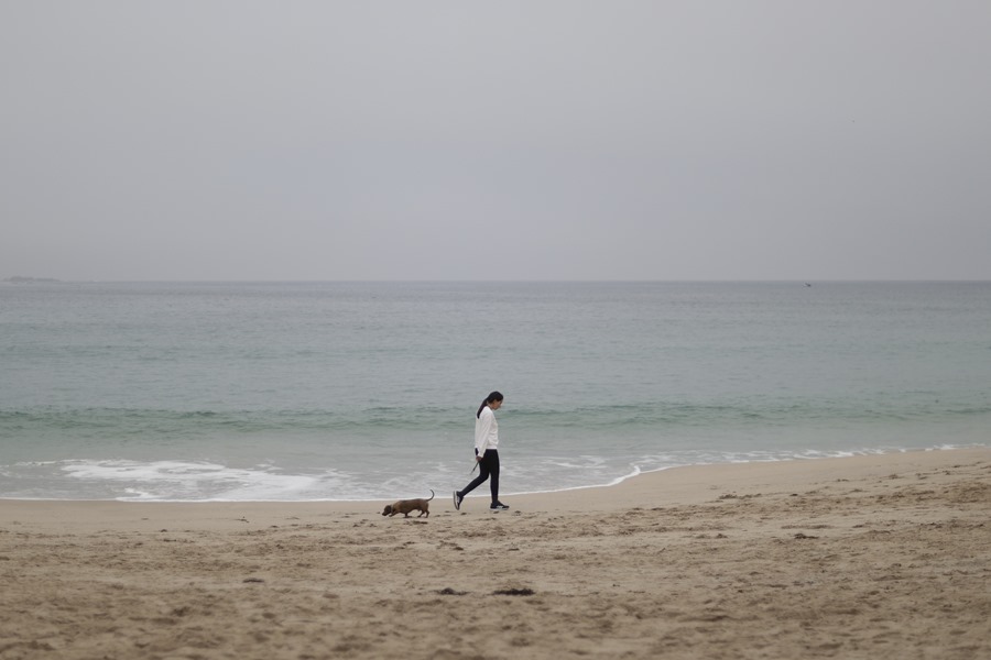 Una mujer y su perro pasean por la playa del Orzán, en A Coruña
