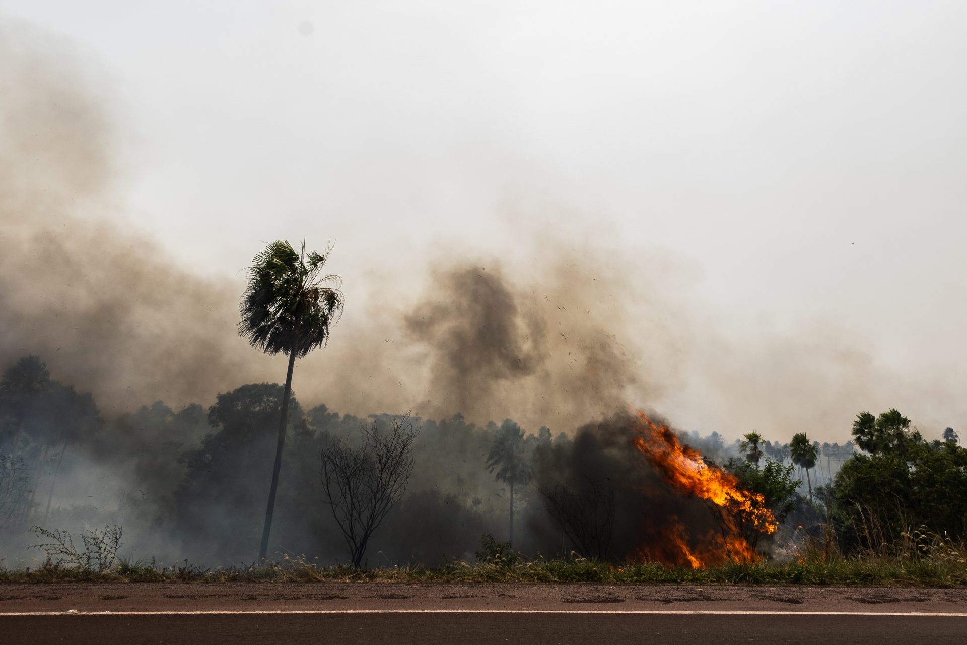 Fotografía de un incendio en los márgenes de la carretera BR-262, el 17 de noviembre de 2023, cerca de la ciudad de Miranda (Brasil). EFE/ Isaac Fontana