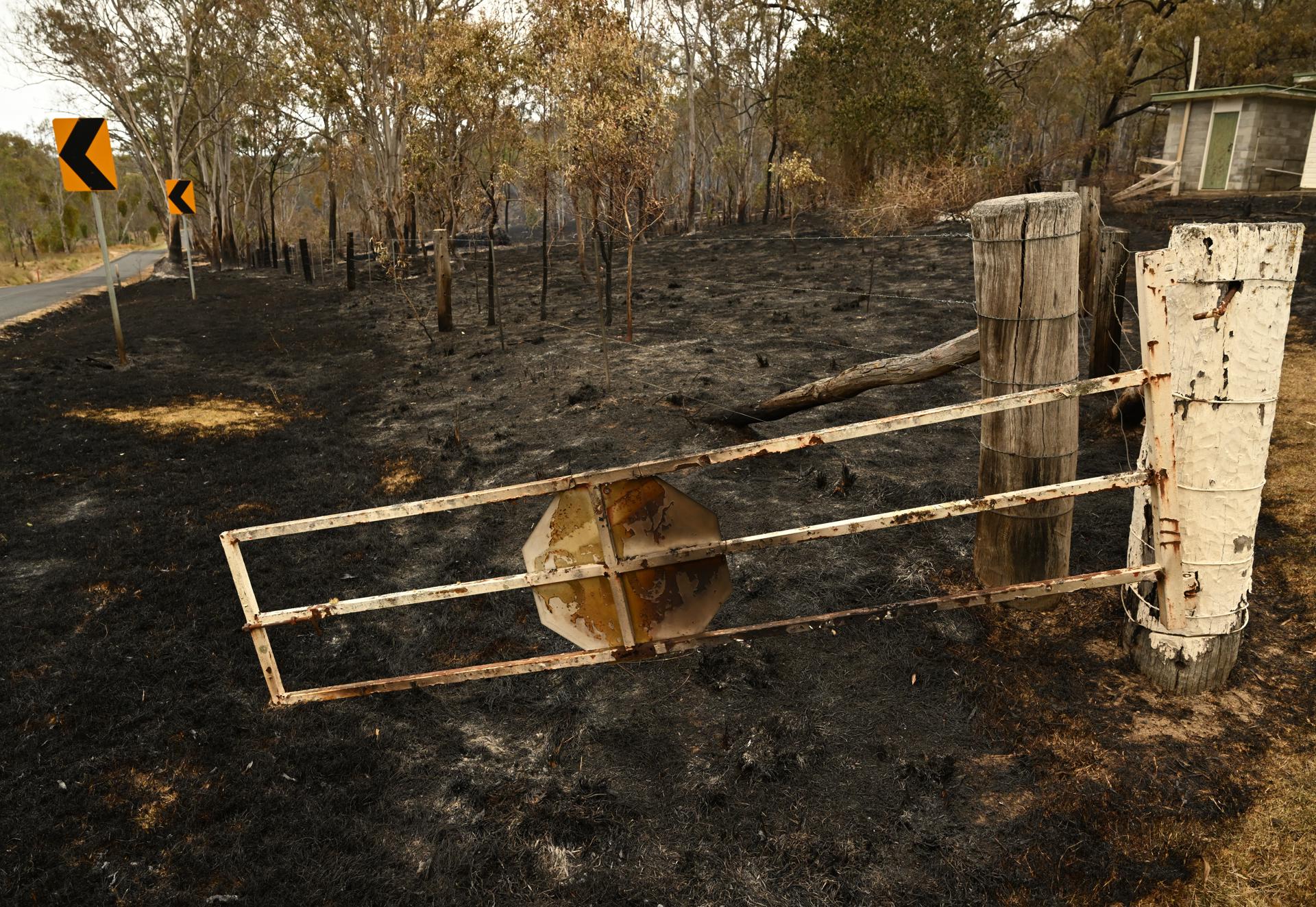 Fire damaged bushland is seen south of Warwick, Queensland, Australia, 01 November 2023. EFE-EPA/DARREN ENGLAND AUSTRALIA AND NEW ZEALAND OUT
