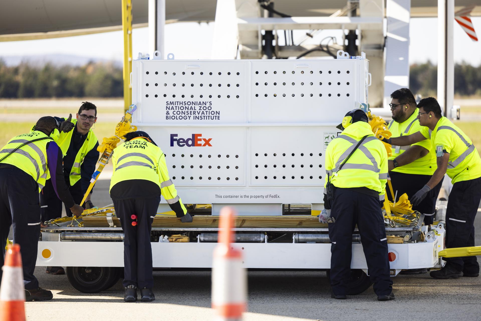 A shipping crate containing one of the Washington DC's three giant pandas is loaded onto a special FedEx flight at Dulles International Airport for their 19-hour flight to Beijing, China, in Dulles, Virginia, US, 08 November 2023. EFE-EPA/JIM LO SCALZO
