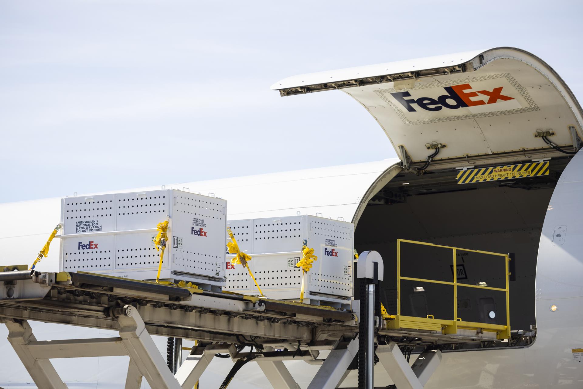 Shipping crates containing two of the Washington DC's three giant pandas are loaded onto a special FedEx flight at Dulles International Airport for their 19-hour flight to Beijing, China, in Dulles, Virginia, US, 08 November 2023. EFE-EPA/JIM LO SCALZO
