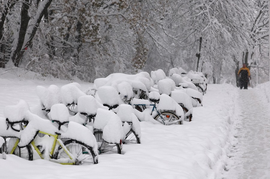 Fuertes nevadas en Múnich. 