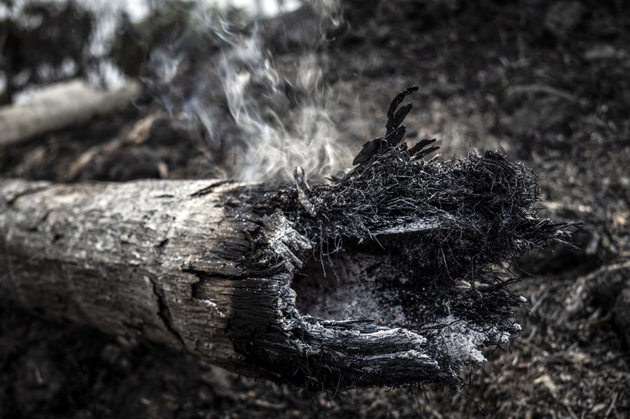 INCENDIOS CLIMA