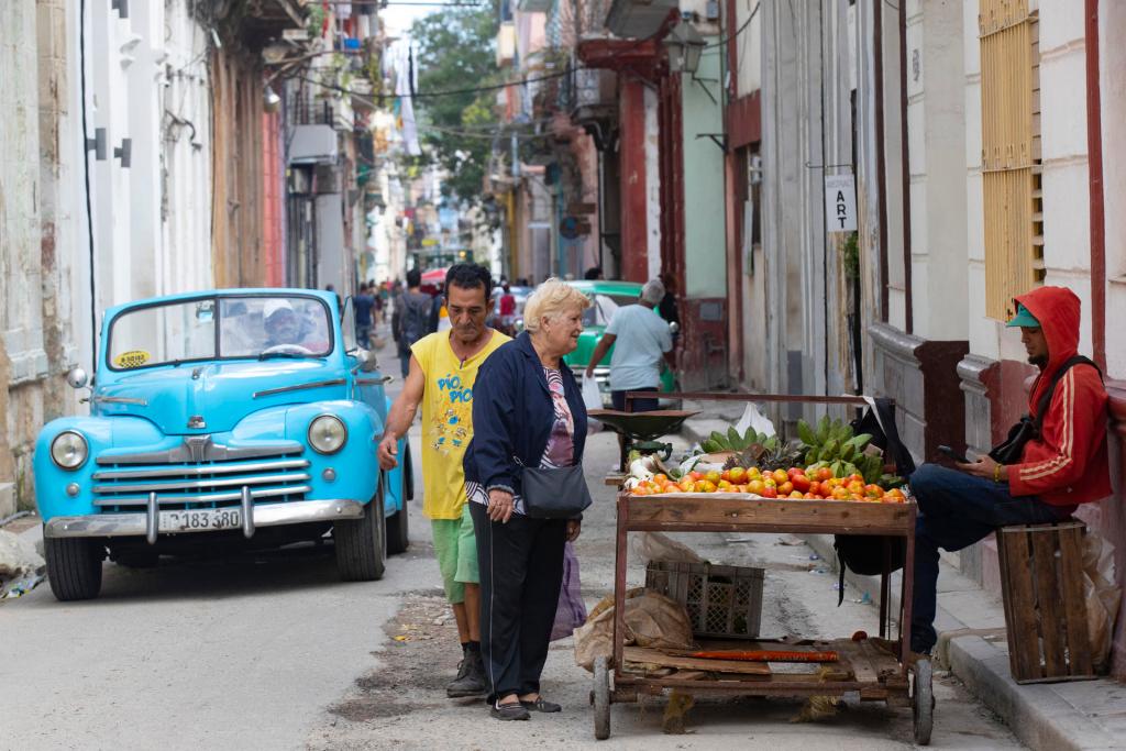 Una mujer observa verduras en un puesto ambulante, este 20 de diciembre de 2023,, en La Habana (Cuba). EFE/ Yander Zamora
