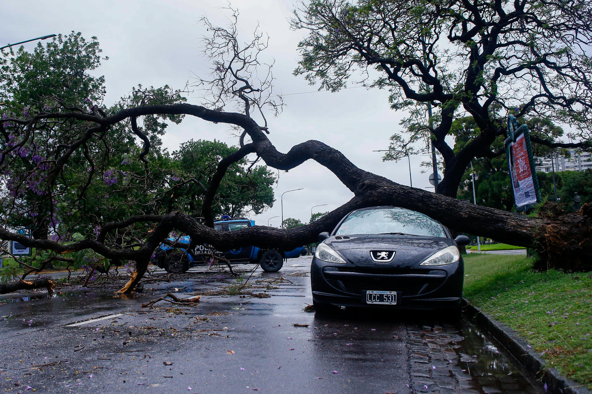 Fuerte Temporal De Viento Y Lluvia Azota A Buenos Aires 