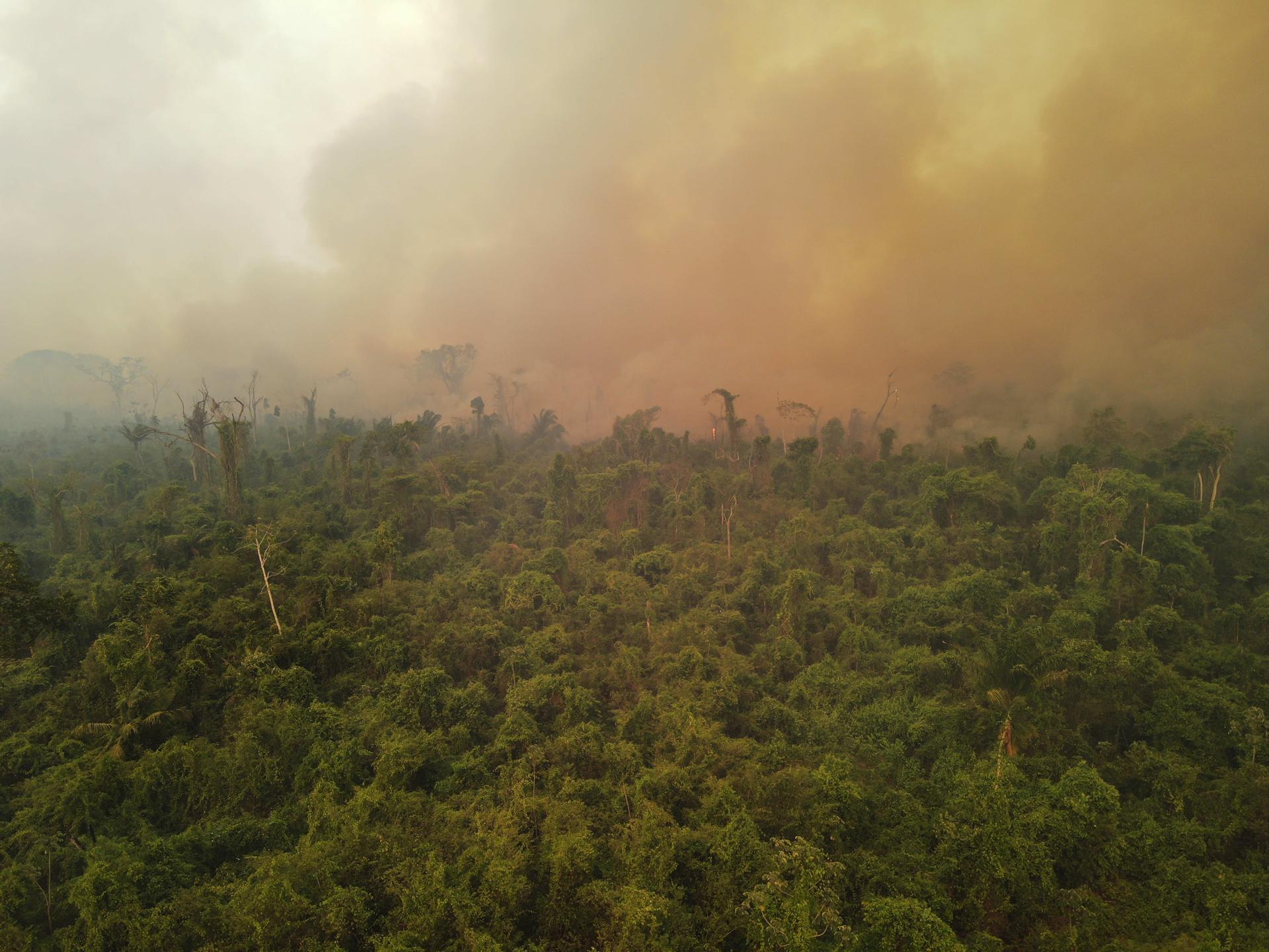 Bolivian government reports more than 3.3 million hectares burned in 2023 - Vimarsana News